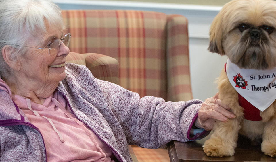 Senior with therapy dog