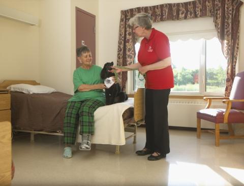 Older woman in nursing home with therapy dog and handler