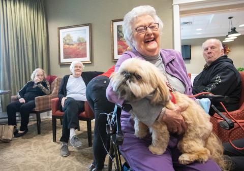 Senior in wheelchair happy with therapy dog